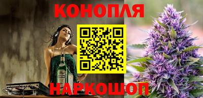 a pvp Кингисепп