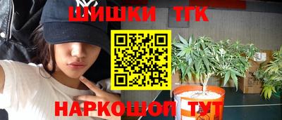 a pvp Кингисепп