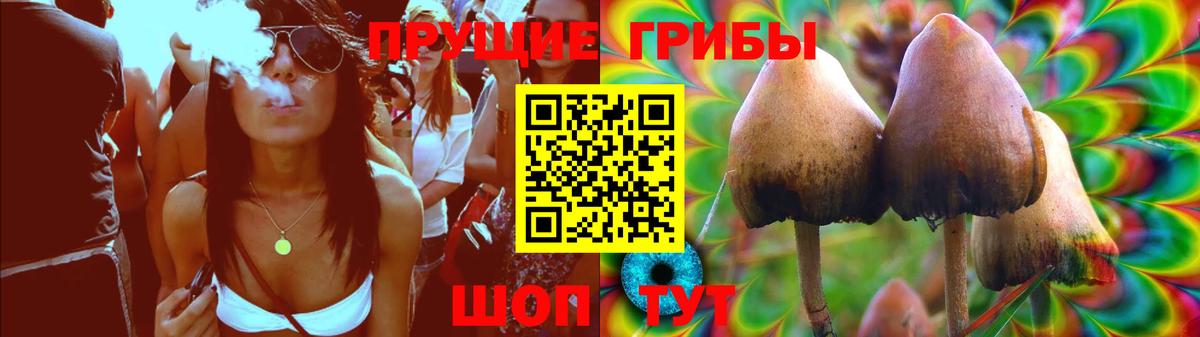 Галлюциногенные грибы прущие грибы Унеча