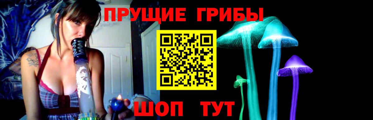 Унеча  Псилоцибиновые грибы GOLDEN TEACHER  Вход с VPN 
